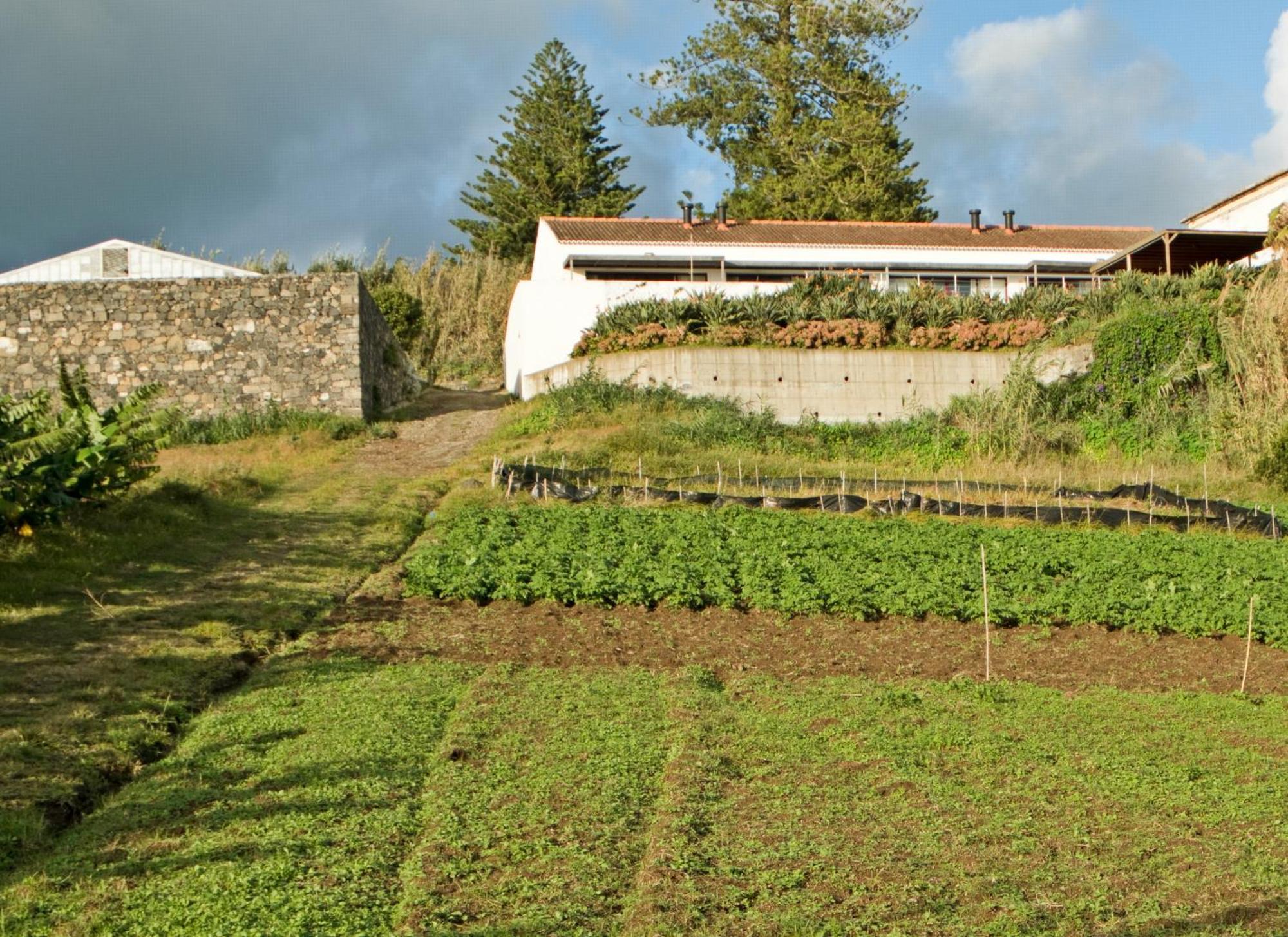 Qva - Quinta Velha Das Amoreiras Vila Franca do Campo Exterior foto